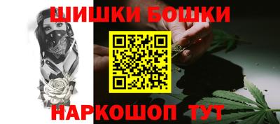хмурый Гатчина