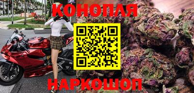 гидра Гай